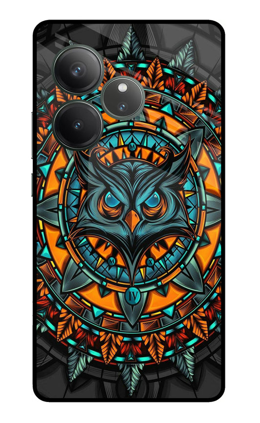 Angry Owl Art Realme GT 6 Glass Case