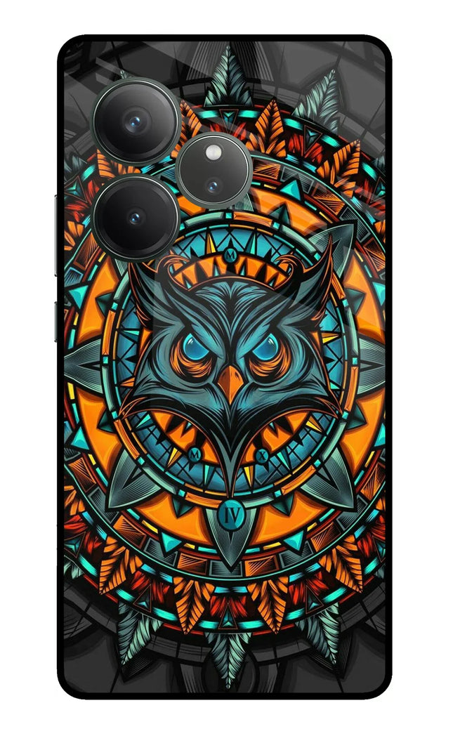 Angry Owl Art Realme GT 6 Glass Case