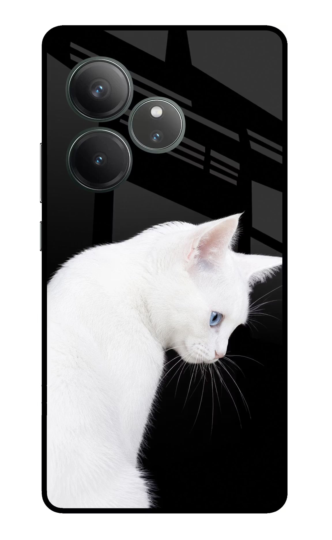 Snow Gaze Realme GT 6 Glass Case