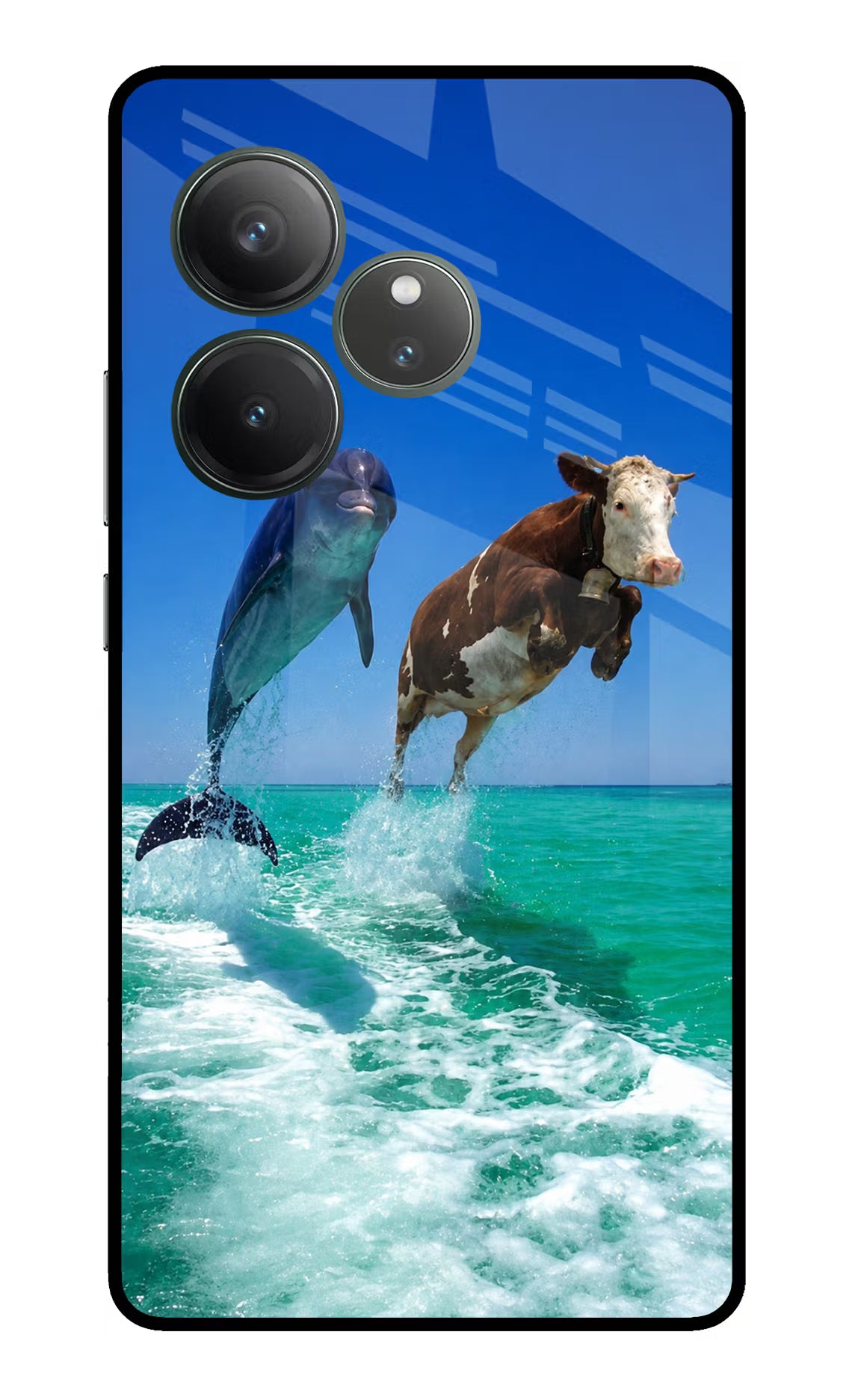 Dolphin vs Cow Realme GT 6 Glass Case