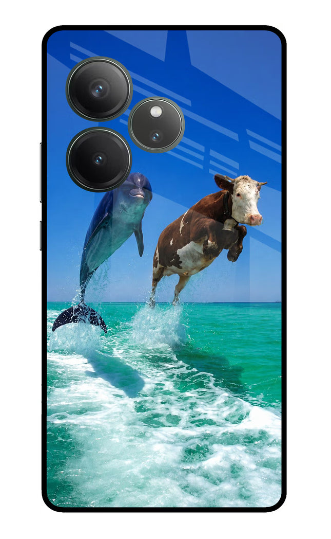 Dolphin vs Cow Realme GT 6 Glass Case