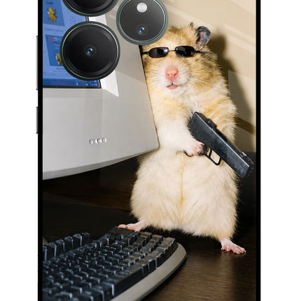 Hacker Hamster Realme GT 6 Glass Case Back Cover by Casekaro