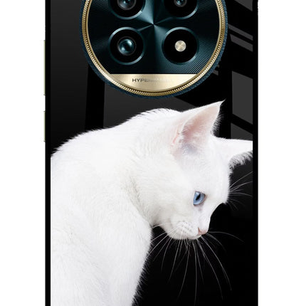 Snow Gaze Realme 13 Pro+ 5G Glass Case