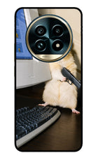 Hacker Hamster Realme 13 Pro+ 5G Glass Case