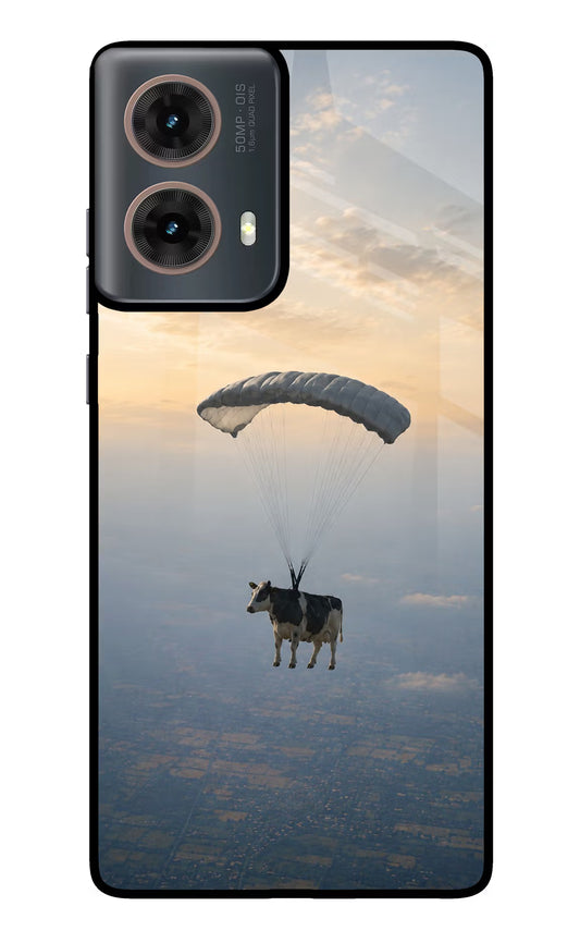 Skydiving Cow Motorola G85 Glass Case