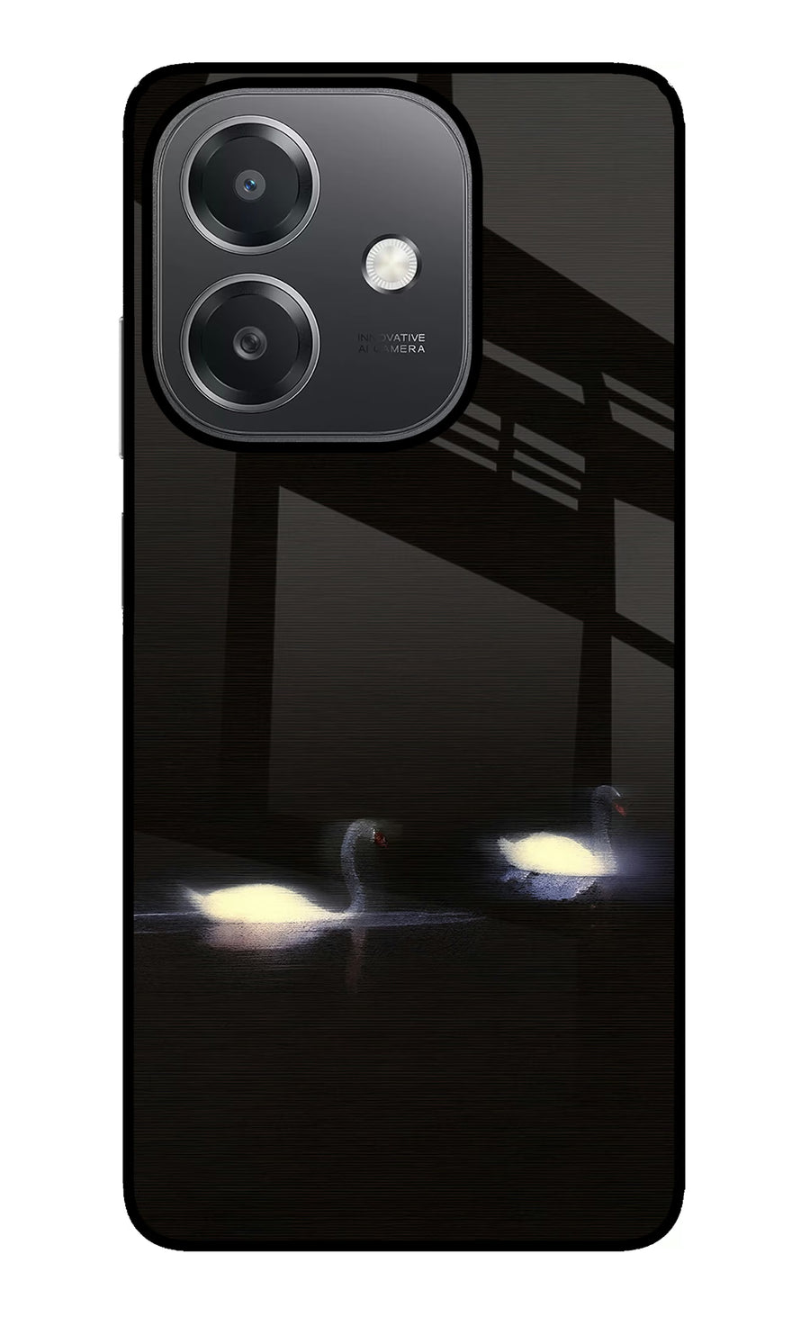 Silent Swans OPPO A3x Back Cover, Glass case