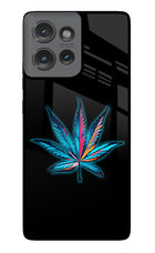 Weed Moto Edge 50 Glass Case