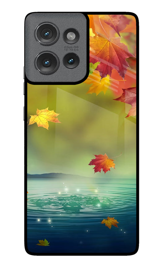 Flowers Moto Edge 50 Glass Case