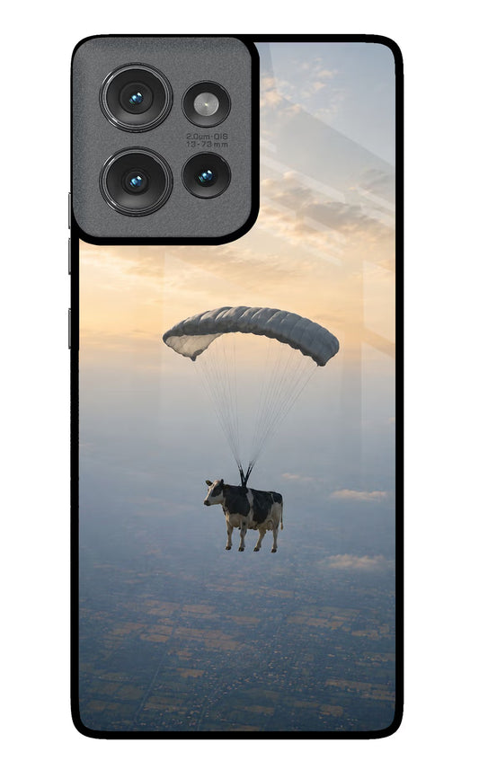 Skydiving Cow Moto Edge 50 Glass Case