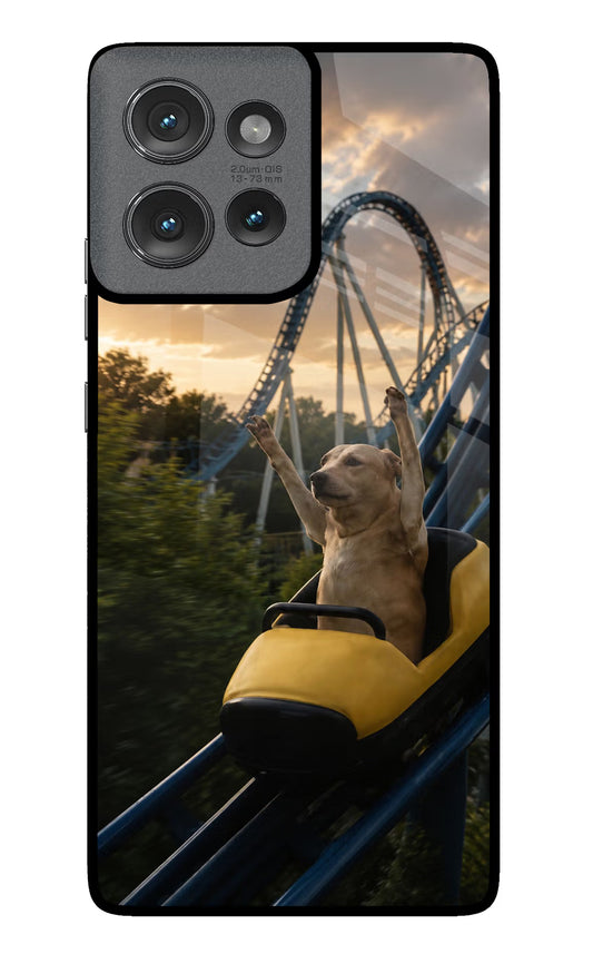 Rollercoaster Dog Moto Edge 50 Glass Case