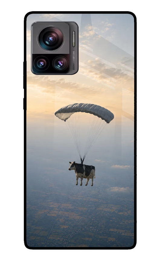 Skydiving Cow Moto Edge 30 Ultra Glass Case
