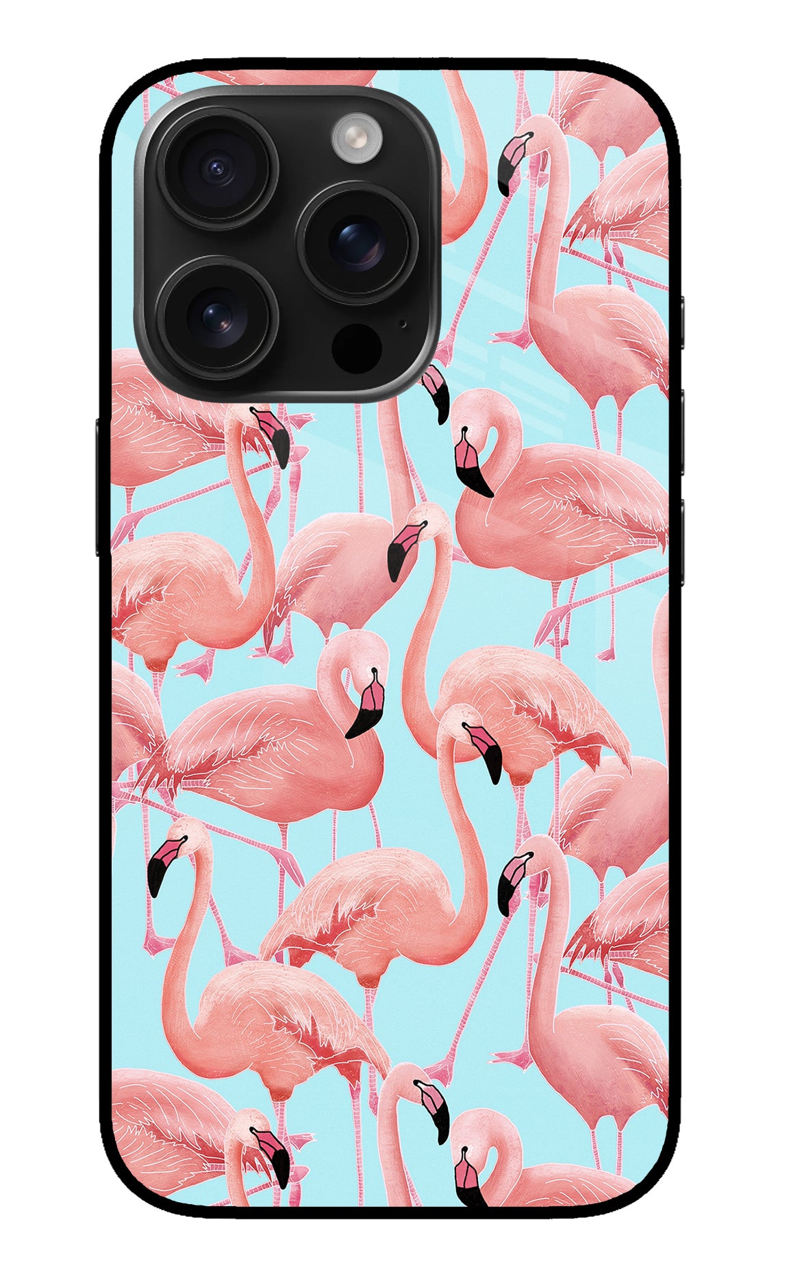 Flamboyance iPhone 16 Pro Back Cover