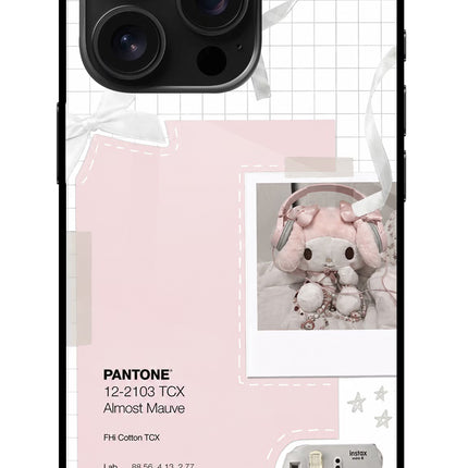 Pantone Asthetic iPhone 16 Pro Glass Case