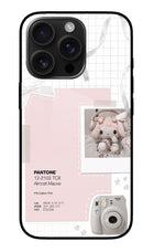 Pantone Asthetic iPhone 16 Pro Glass Case