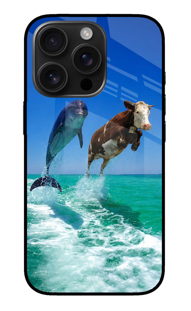 Dolphin vs Cow iPhone 16 Pro Glass Case