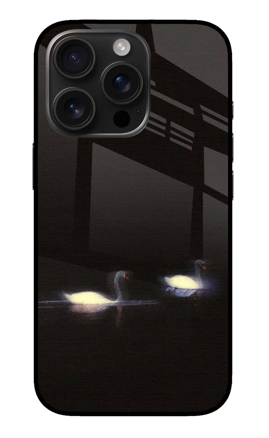 Silent Swans iPhone 16 Pro Back Cover, Glass case