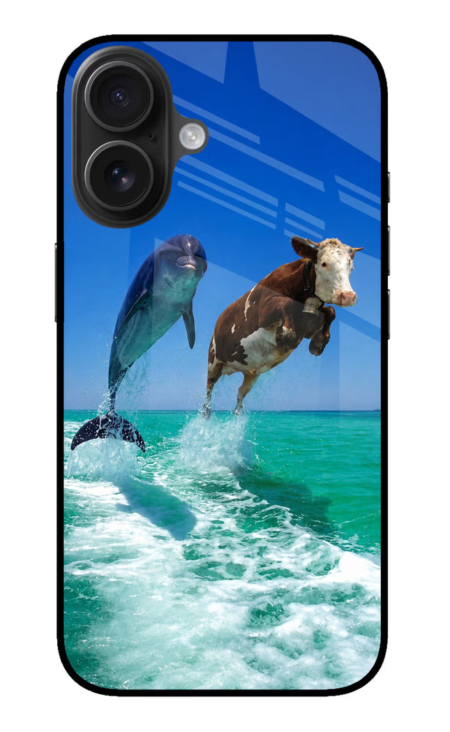 Dolphin vs Cow iPhone 16 Plus Glass Case