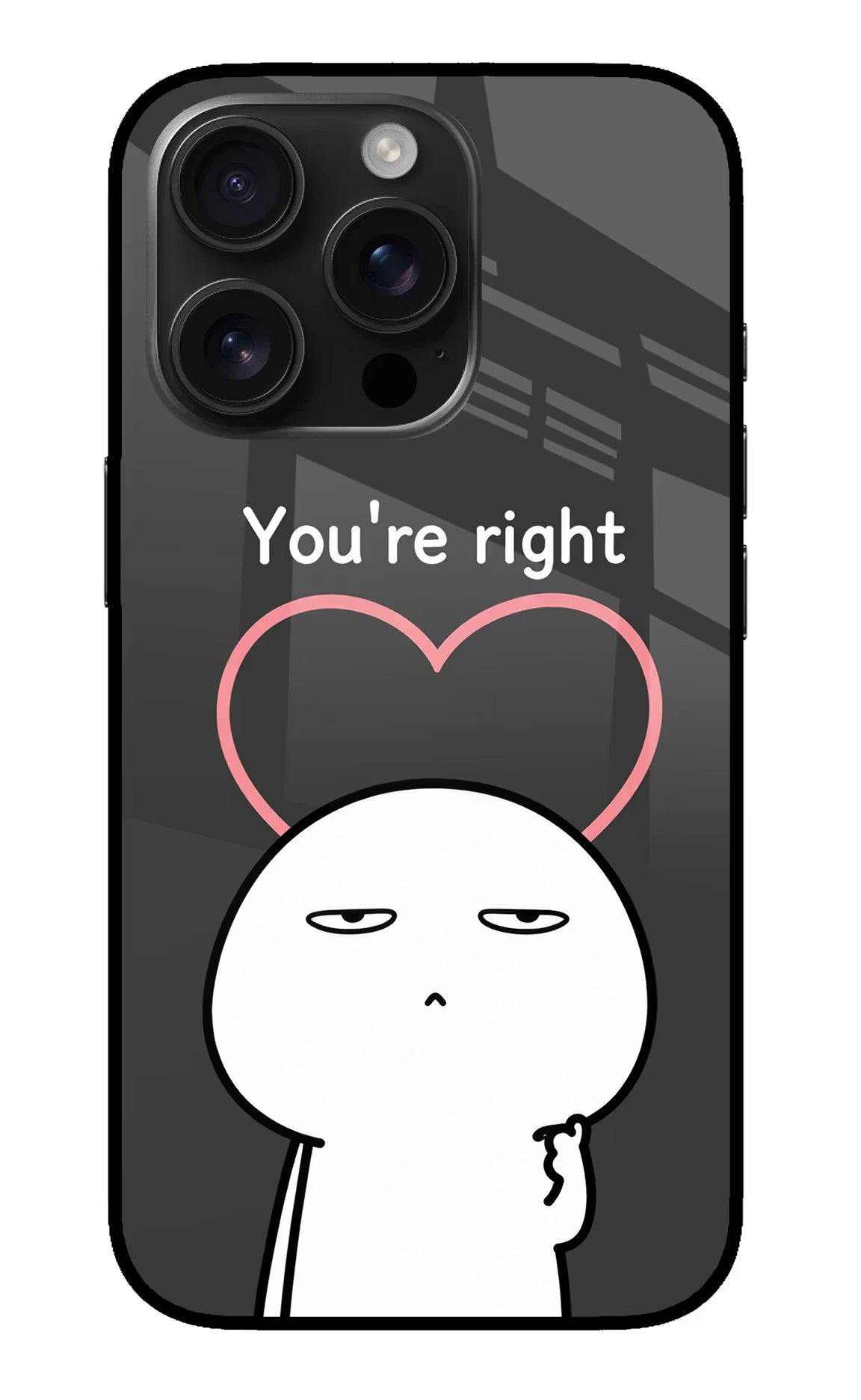 You're Right iPhone 16 Pro Max Glass Case