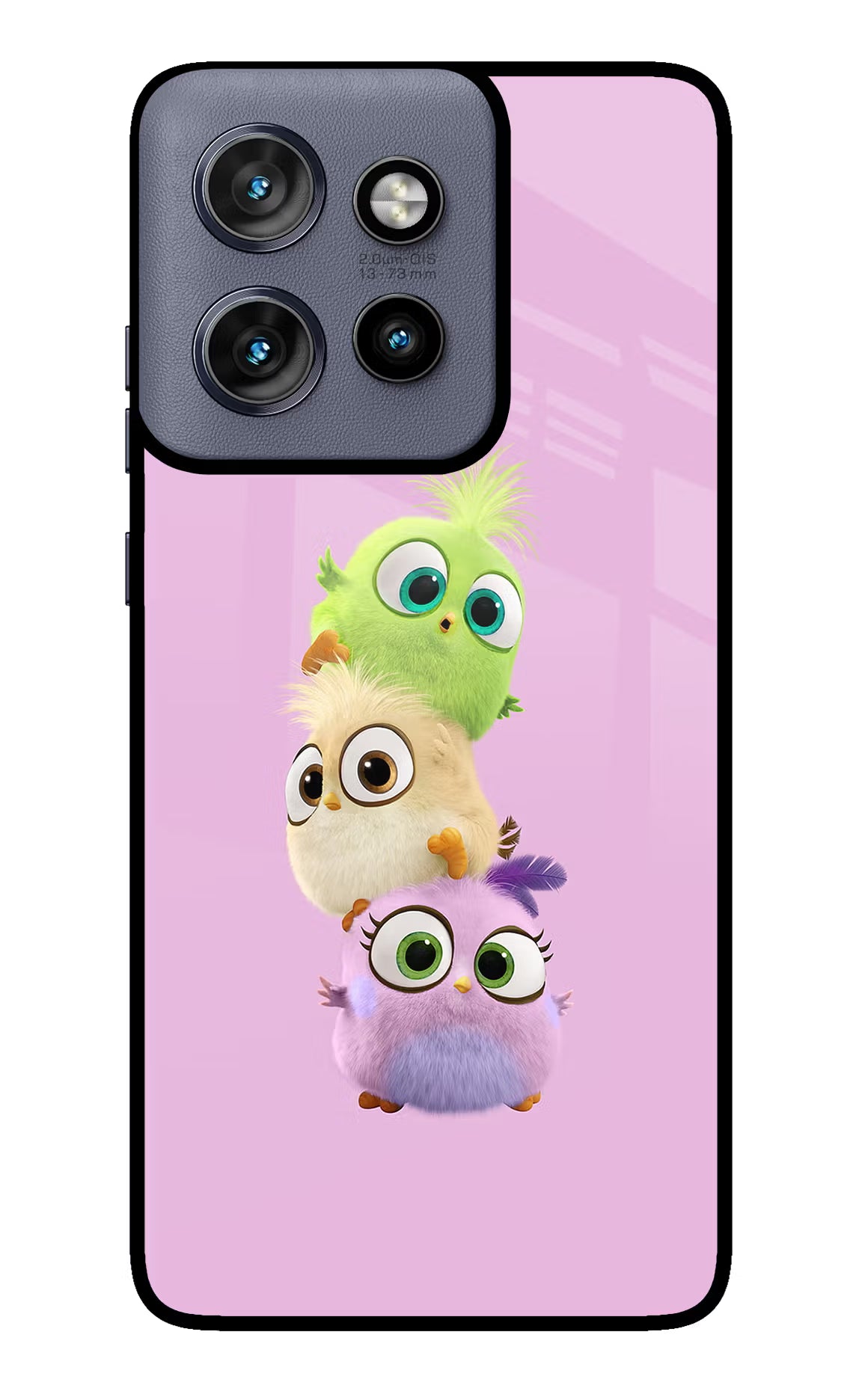 Cute Little Birds Moto Edge 50 Neo Glass Case