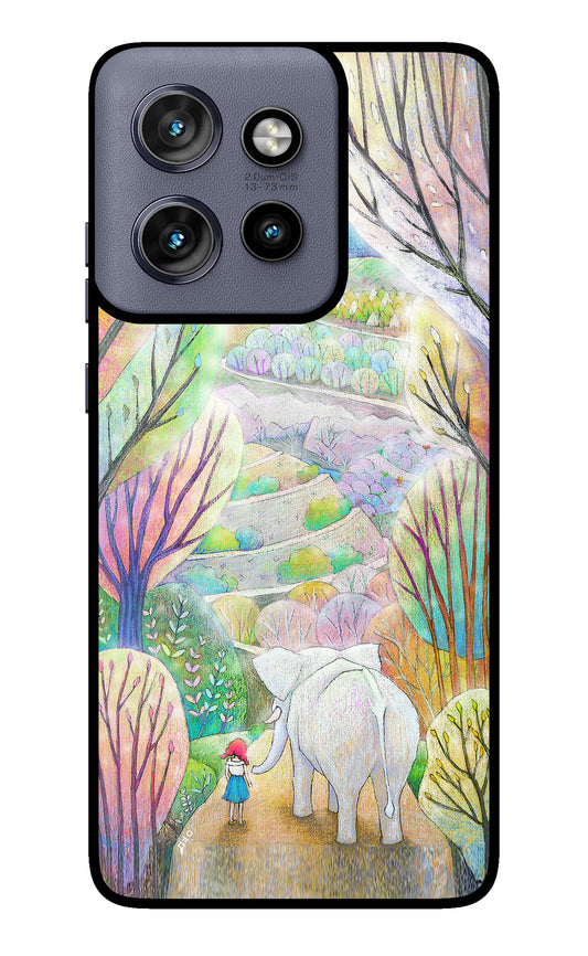 Nature Painting Moto Edge 50 Neo Glass Case