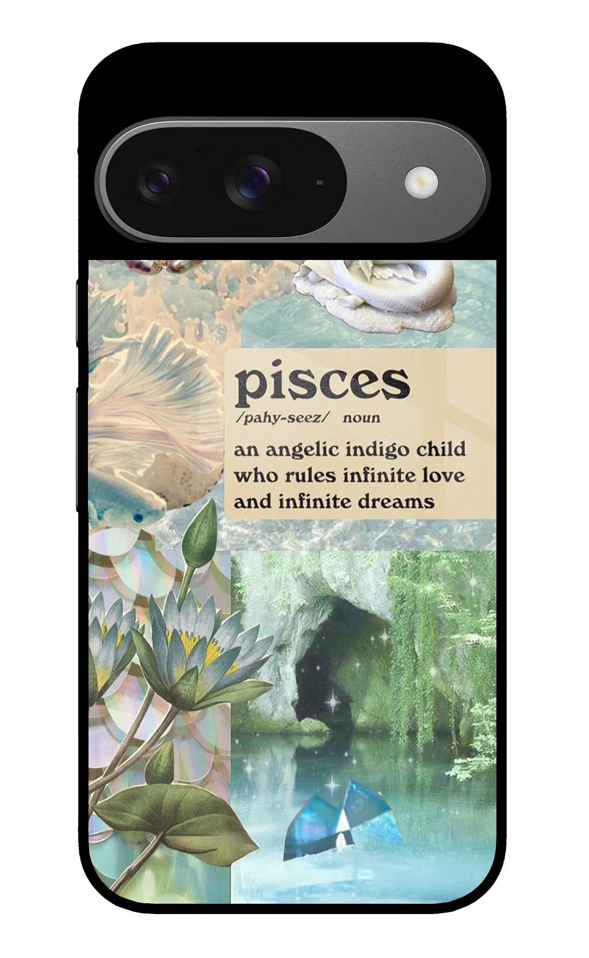 Pisces Zodiac Google Pixel 9 Glass Case