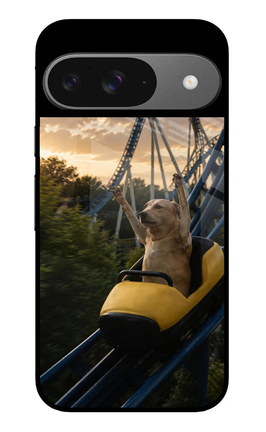 Rollercoaster Dog Google Pixel 9 Glass Case