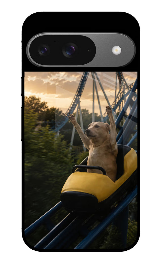 Rollercoaster Dog Google Pixel 9 Glass Case
