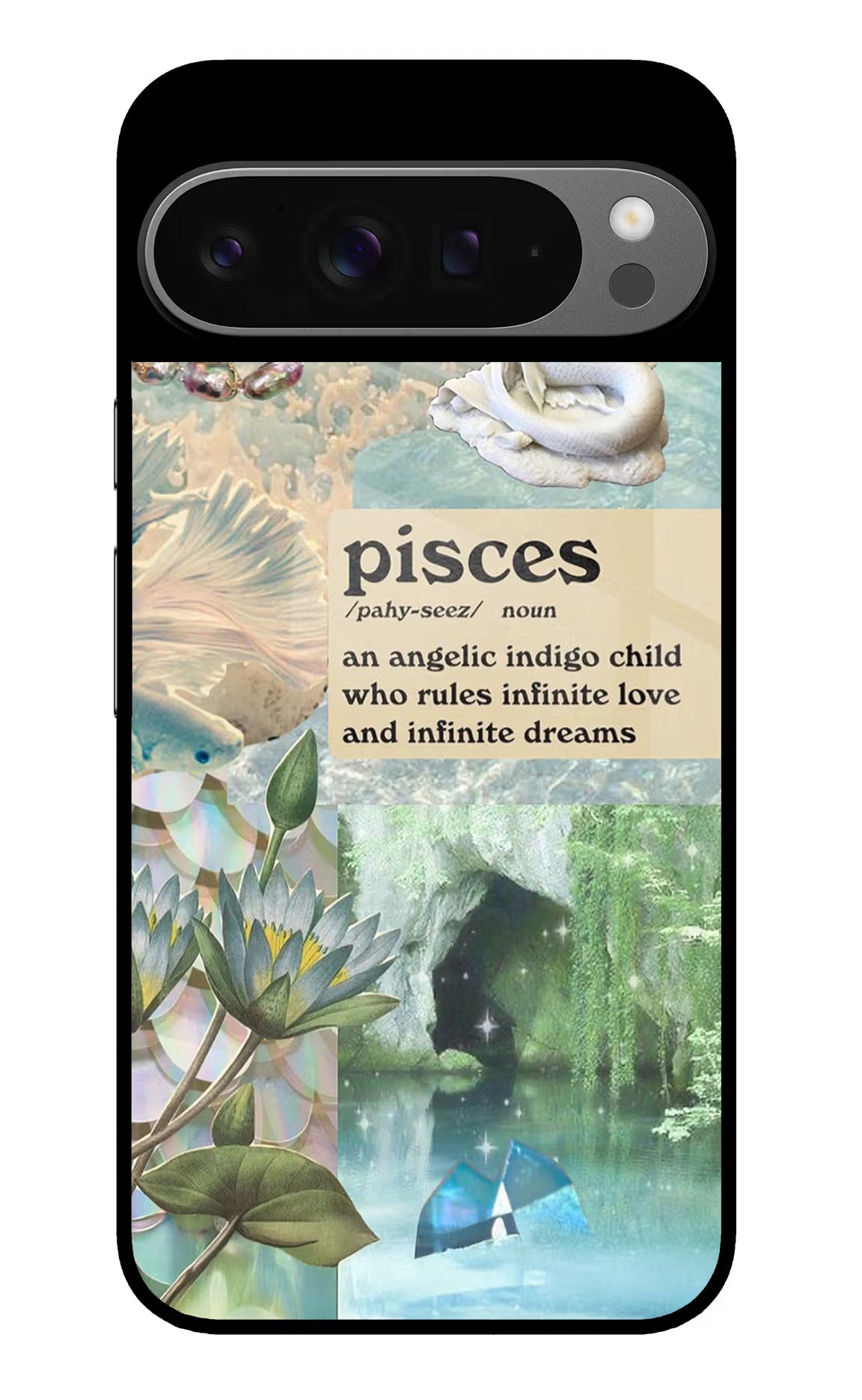 Pisces Zodiac Google Pixel 9 Pro Glass Case