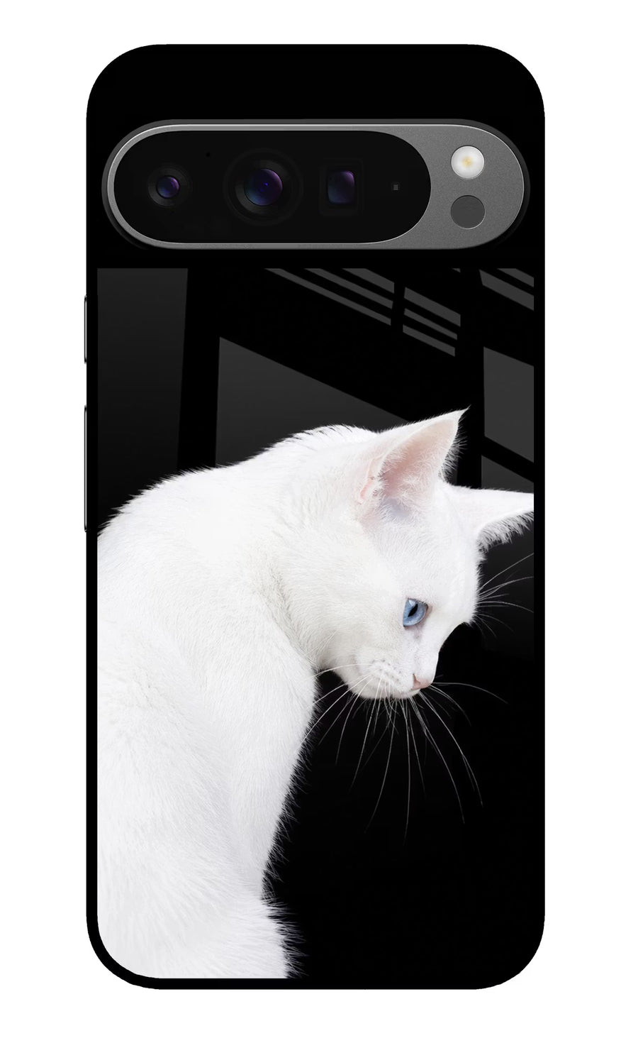 Snow Gaze Google Pixel 9 Pro Back Cover, Glass case
