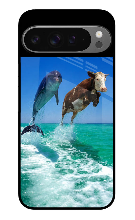 Dolphin vs Cow Google Pixel 9 Pro Glass Case