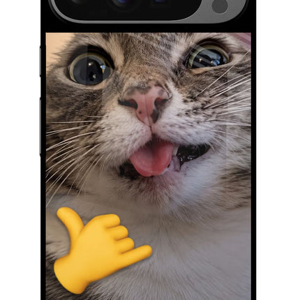 Silly Cat Call Google Pixel 9 Pro Glass Case
