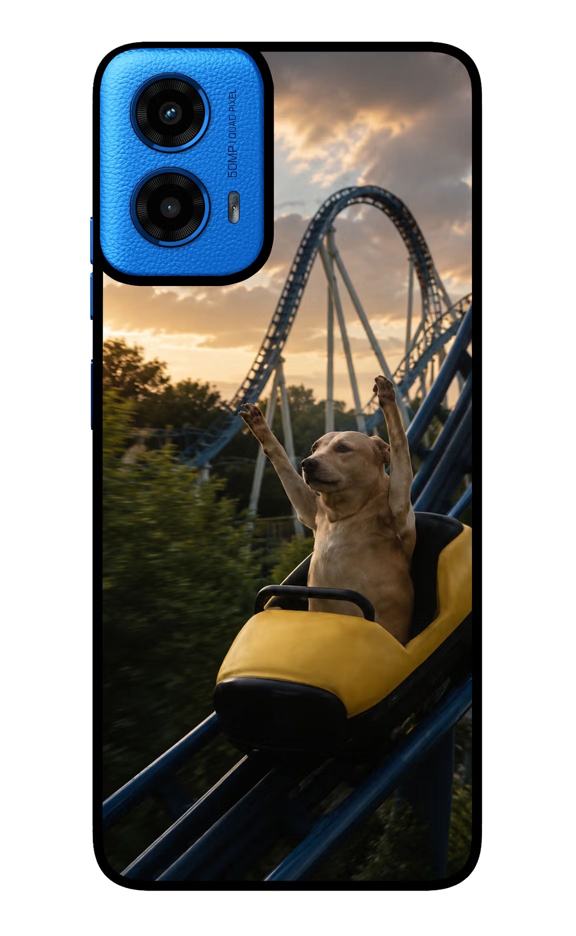 Rollercoaster Dog Moto G45 Glass Case