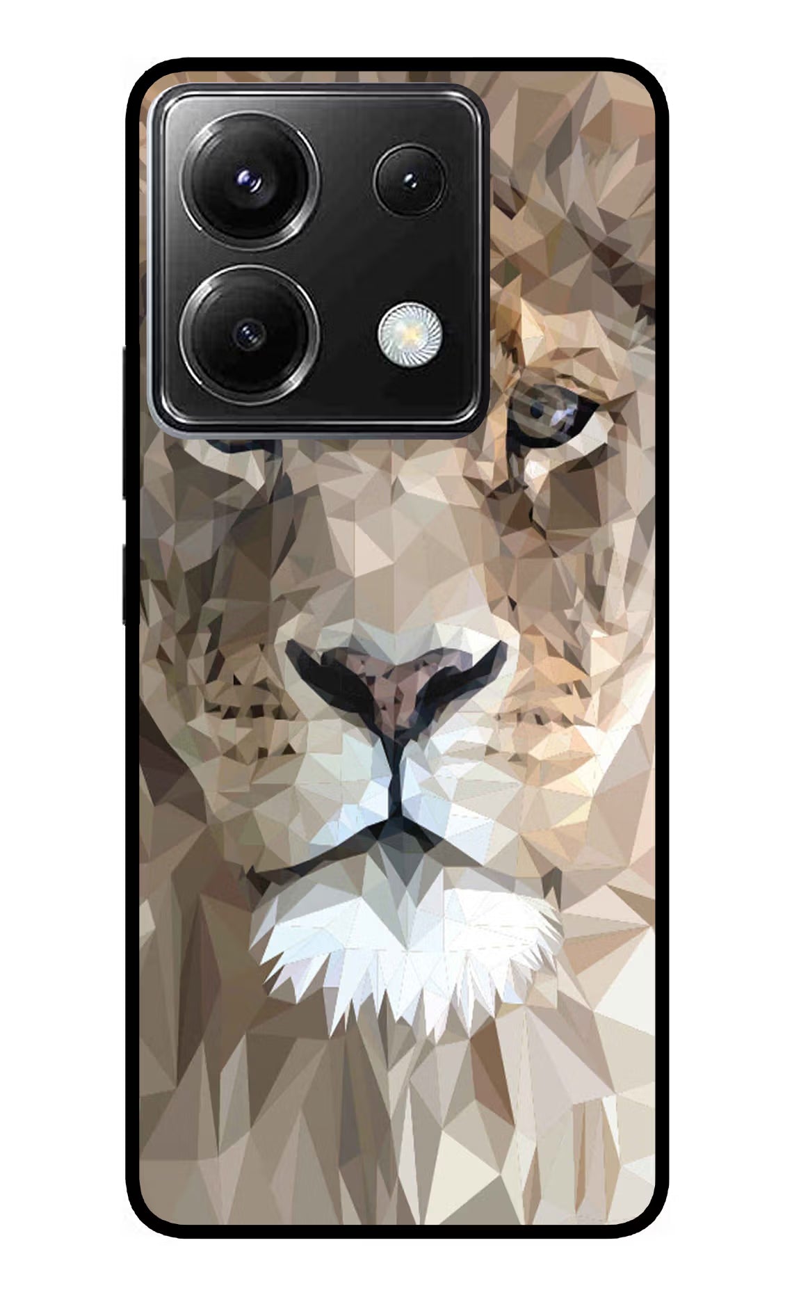 Lion Art Poco X6 Glass Case Back Cover by Casekaro