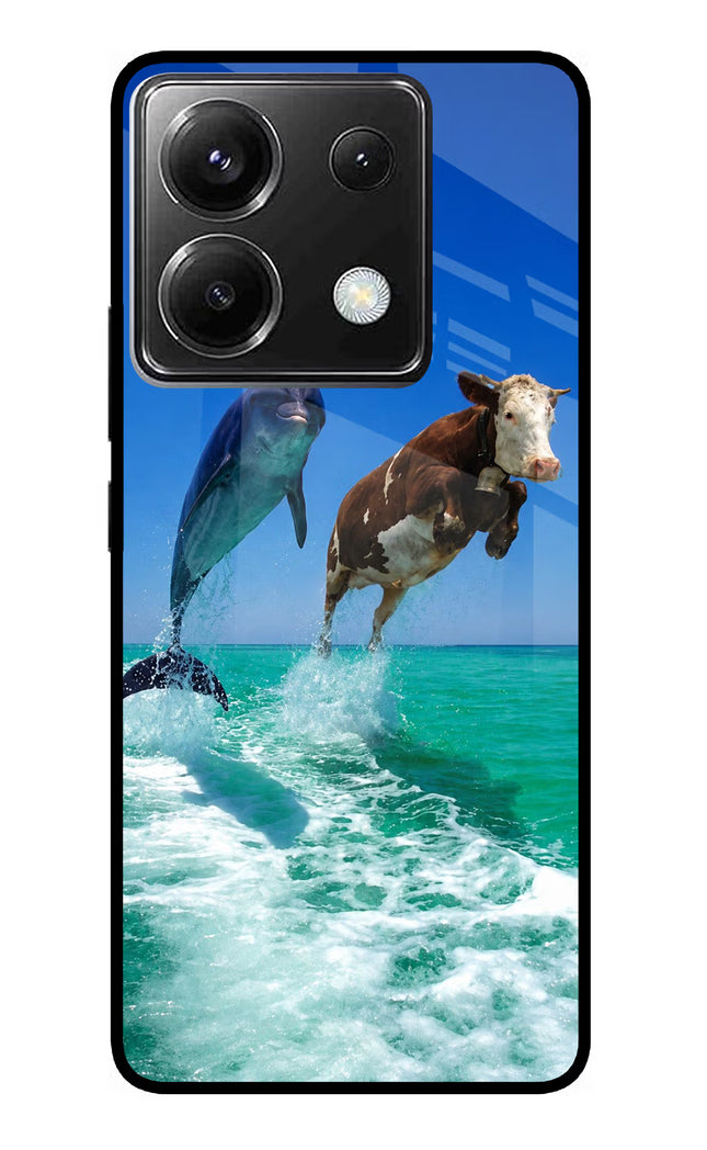 Dolphin vs Cow Poco X6 Glass Case