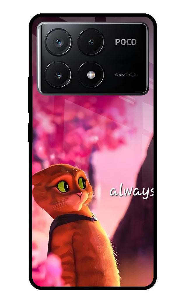 Always Cat Poco X6 Pro Glass Case