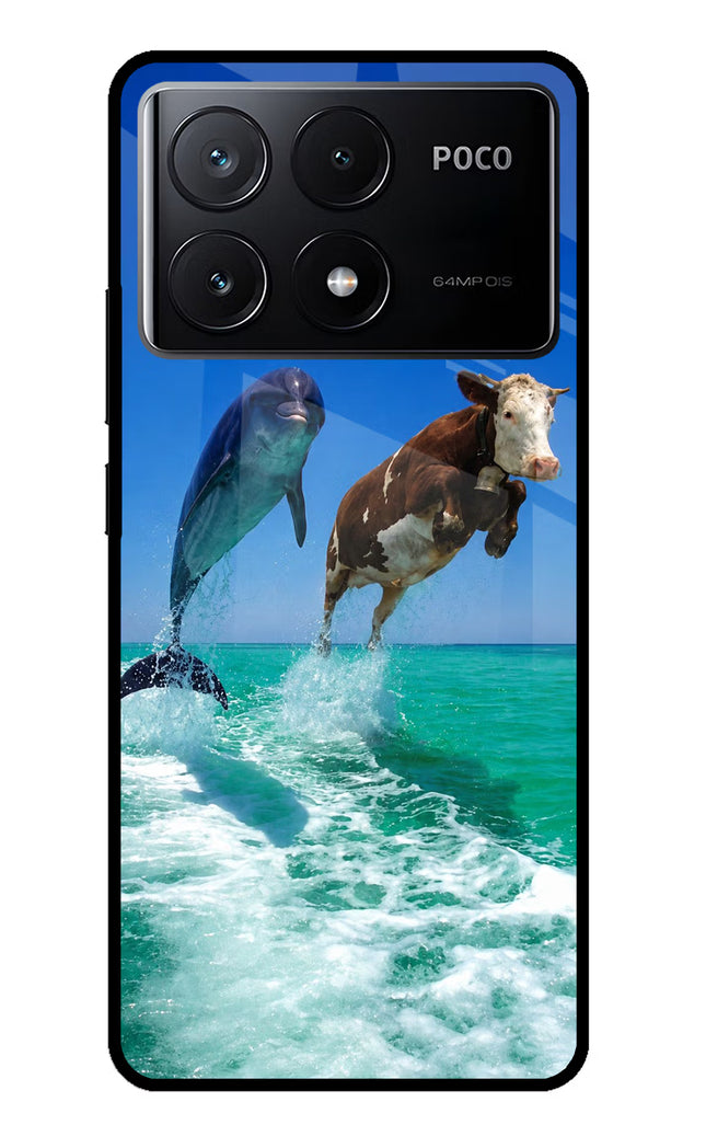 Dolphin vs Cow Poco X6 Pro Glass Case