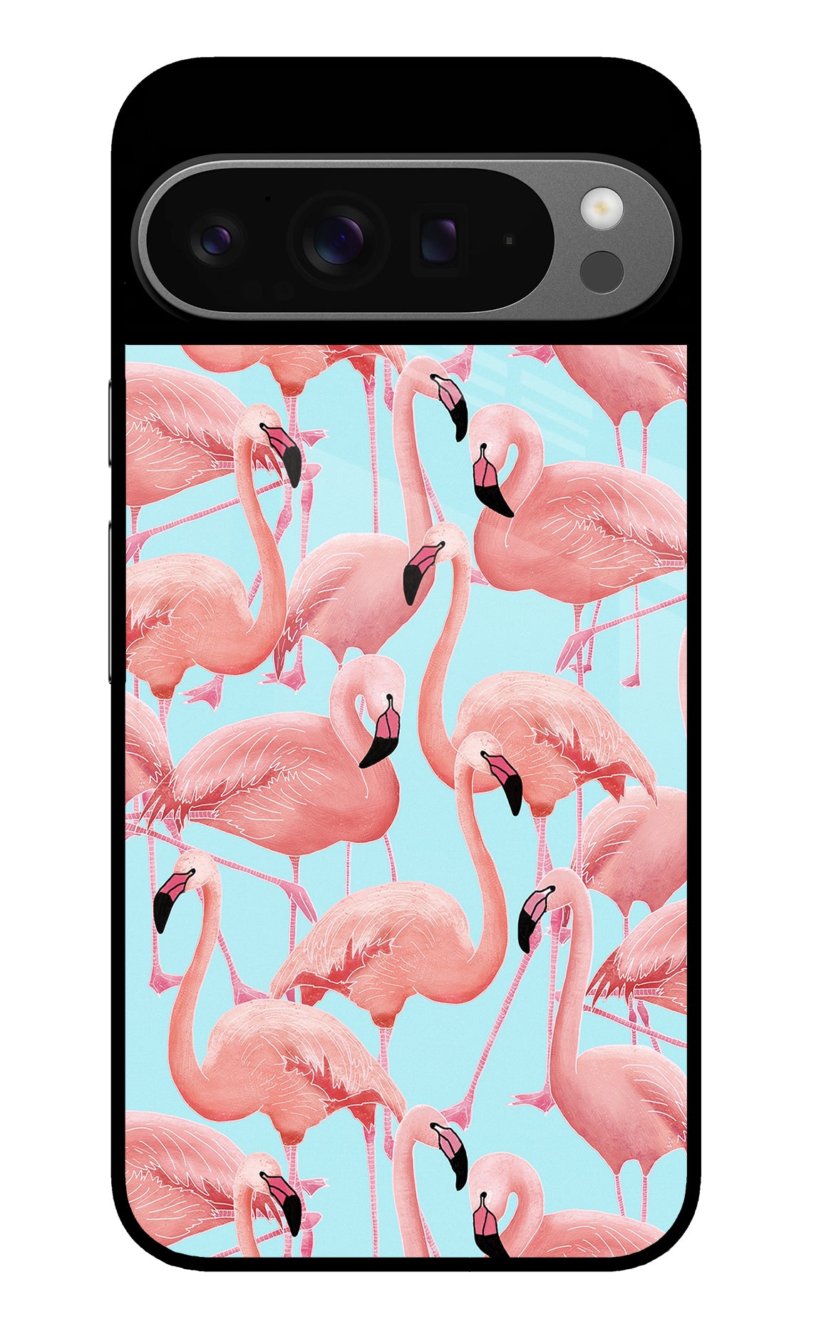 Flamboyance Google Pixel 9 Pro XL Glass Case