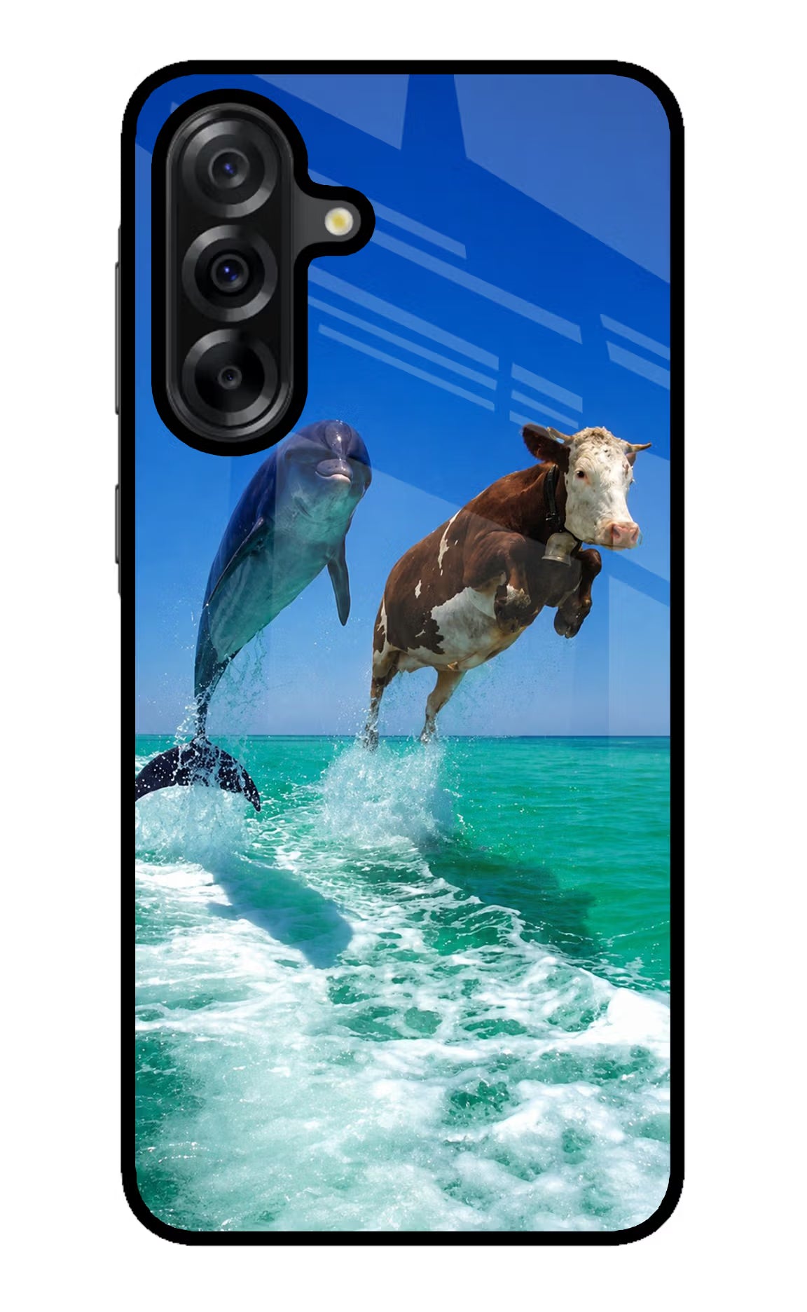 Dolphin vs Cow Samsung A36 5G Glass Case