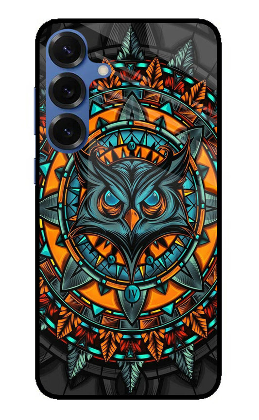 Angry Owl Art Samsung S25 Plus Glass Case