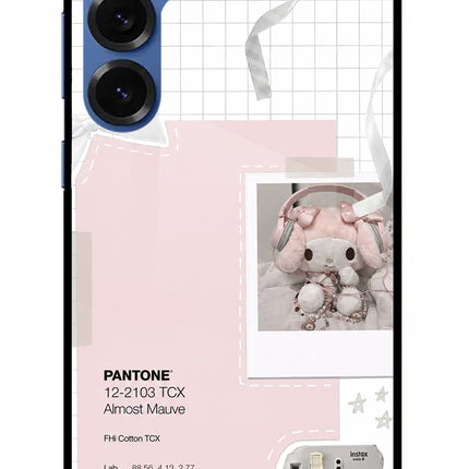 Pantone Asthetic Samsung S25 Plus Glass Case
