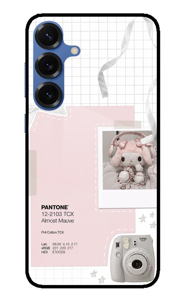 Pantone Asthetic Samsung S25 Plus Glass Case