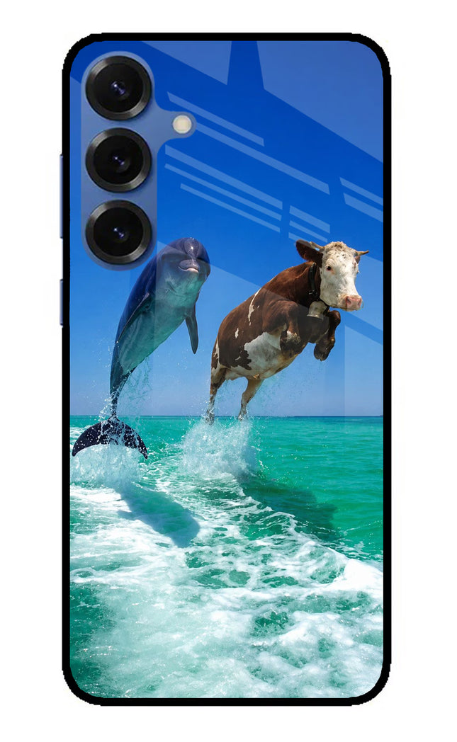 Dolphin vs Cow Samsung S25 Plus Glass Case