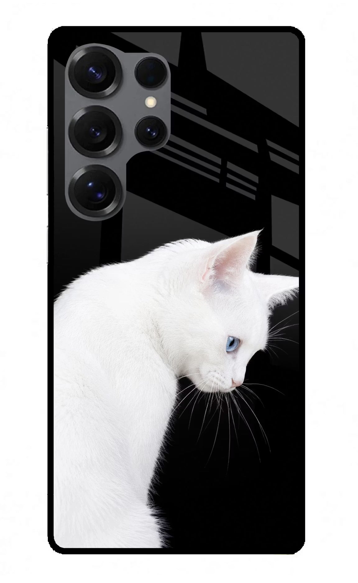 Snow Gaze Samsung S25 Ultra Glass Case