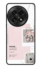 Pantone Asthetic OnePlus 13 Glass Case