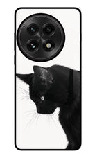 Shadow Gaze OnePlus 13 Glass Case