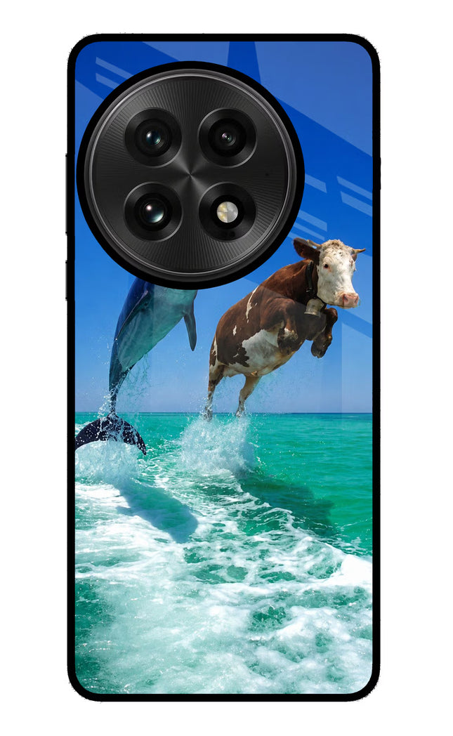 Dolphin vs Cow OnePlus 13 Glass Case