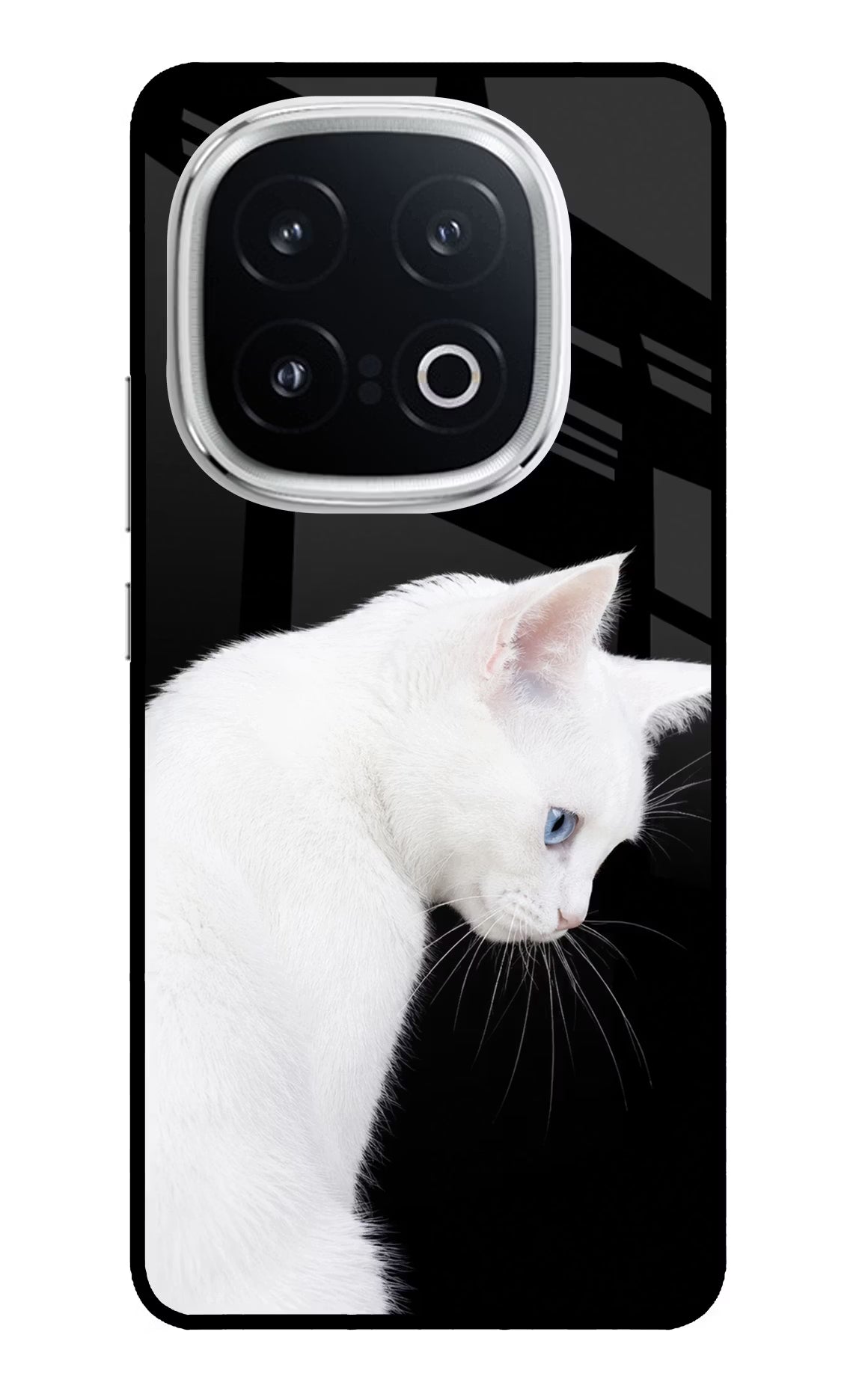 Snow Gaze iQOO 13 5G Glass Case