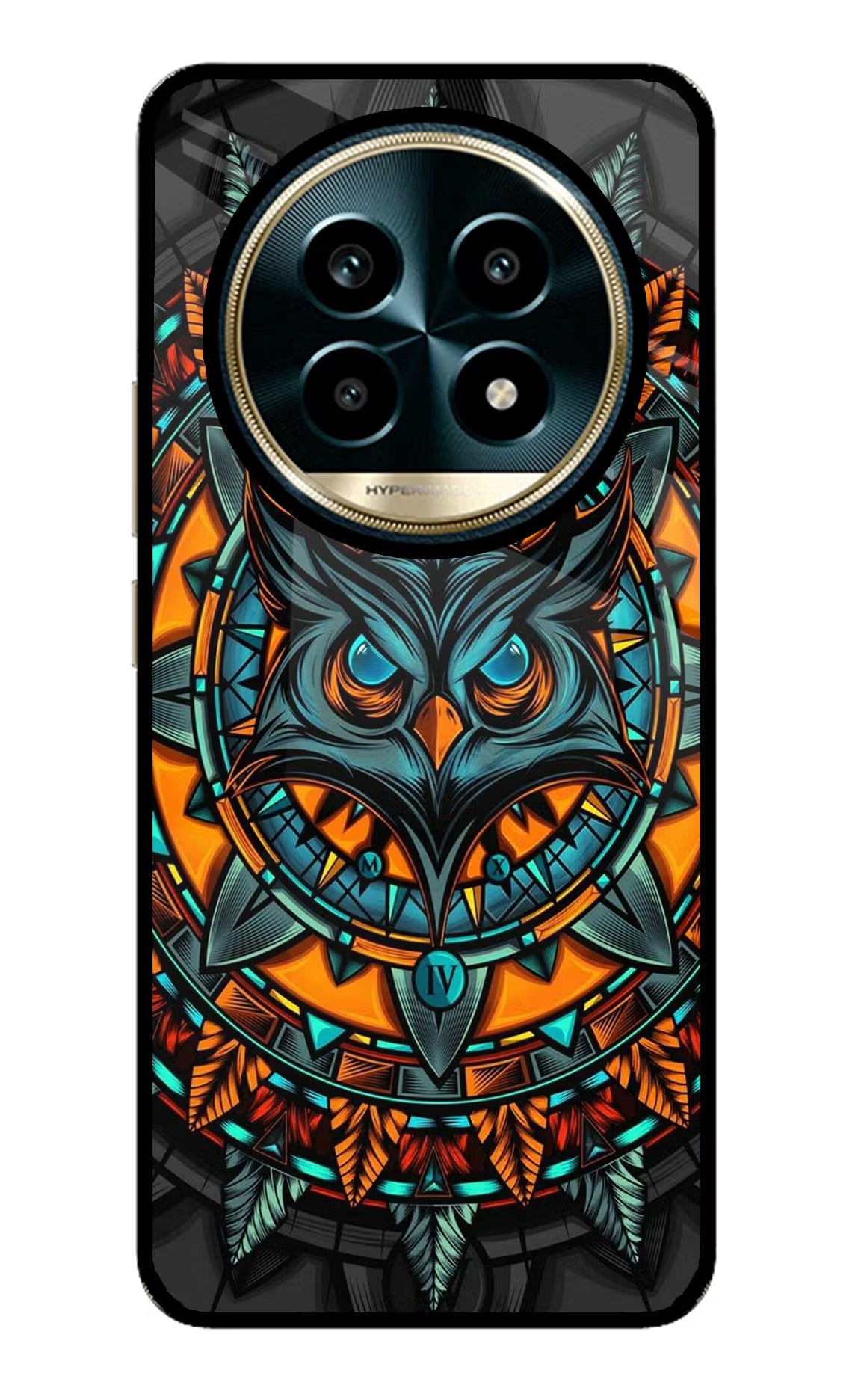 Angry Owl Art Realme 13 Pro 5G Glass Case