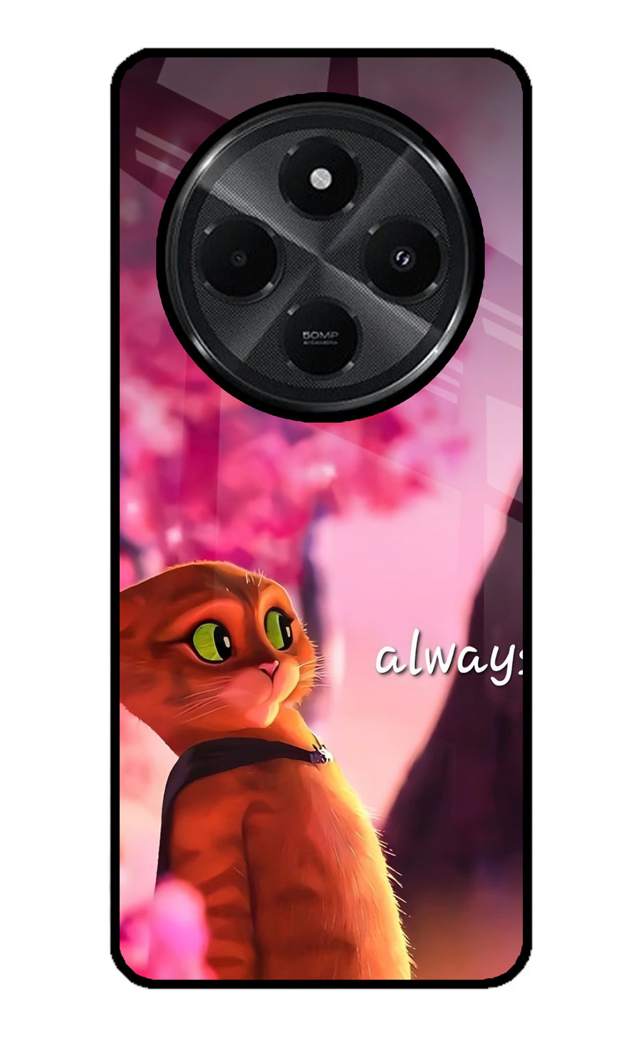 Always Cat Redmi A4 5G Back Cover, Glass case