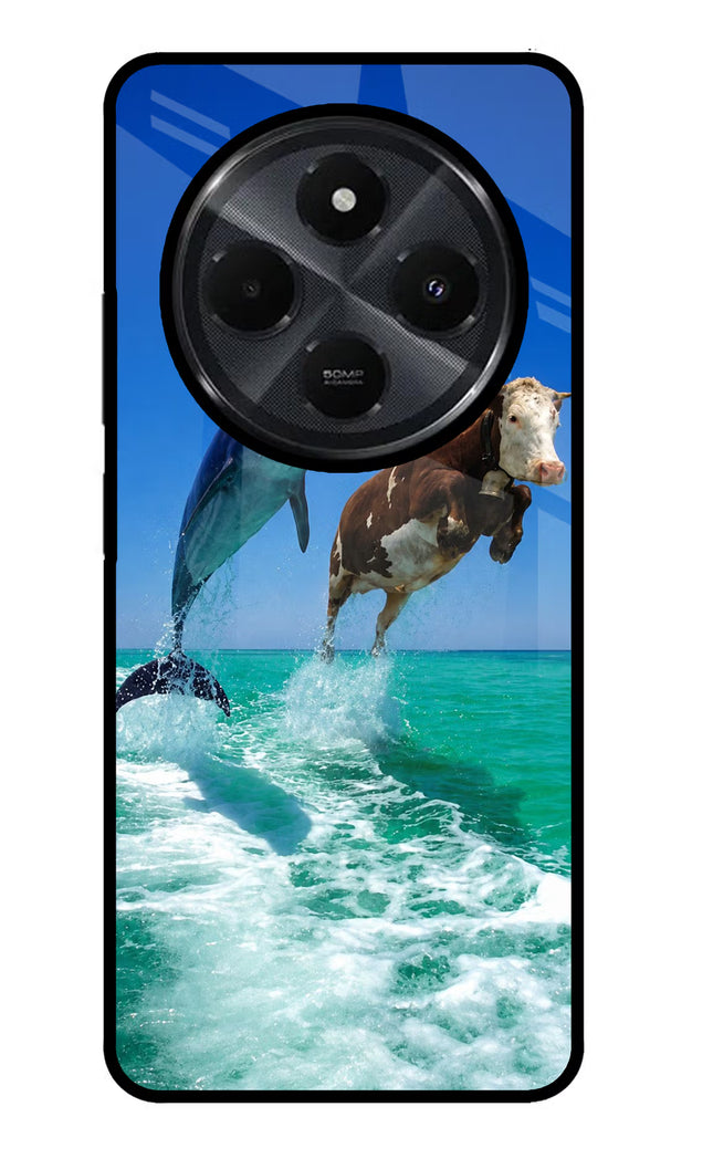Dolphin vs Cow Redmi 14C 5G Glass Case